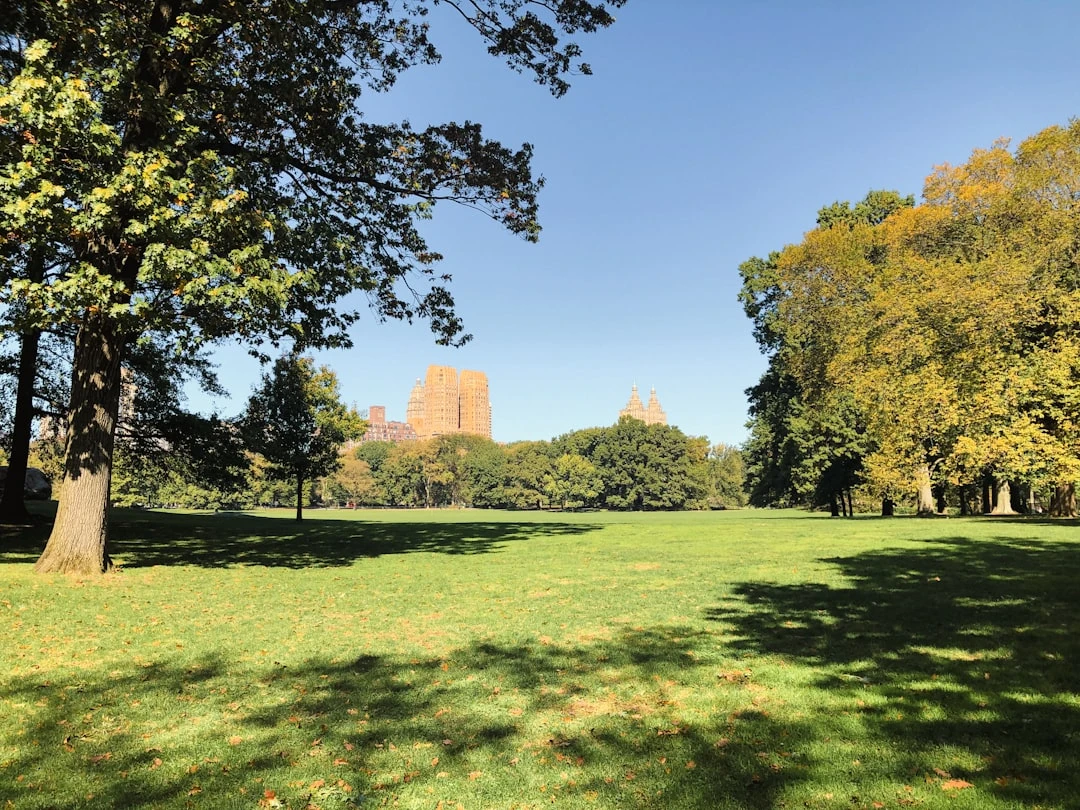 chi-phi-du-hoc-my-hieu-dung-de-chuan-bi-tot