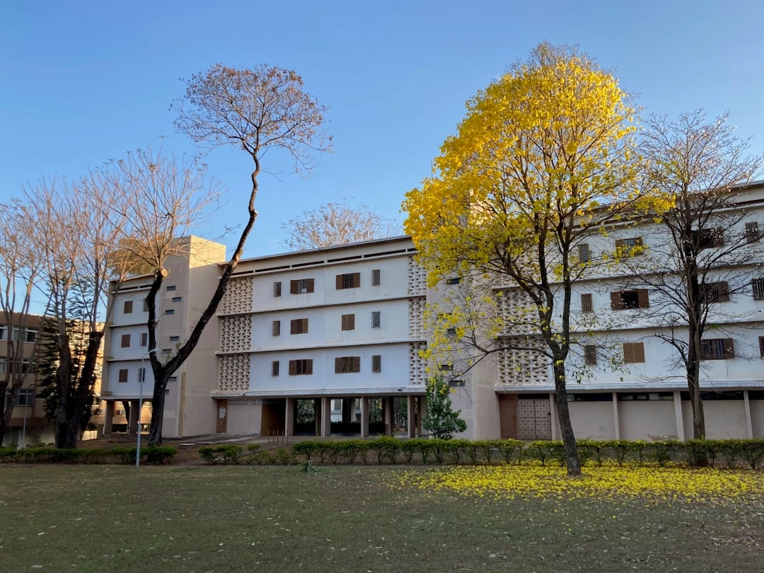 du-hoc-duc-my20s-hanh-trinh-duoi-goc-nhin-cua-co-van-minh-anh