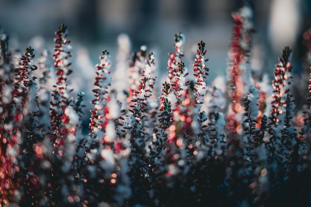 cach-tu-lam-ho-so-du-hoc-my-duoi-goc-nhin-cua-co-van-10-nam-kinh-nghiem