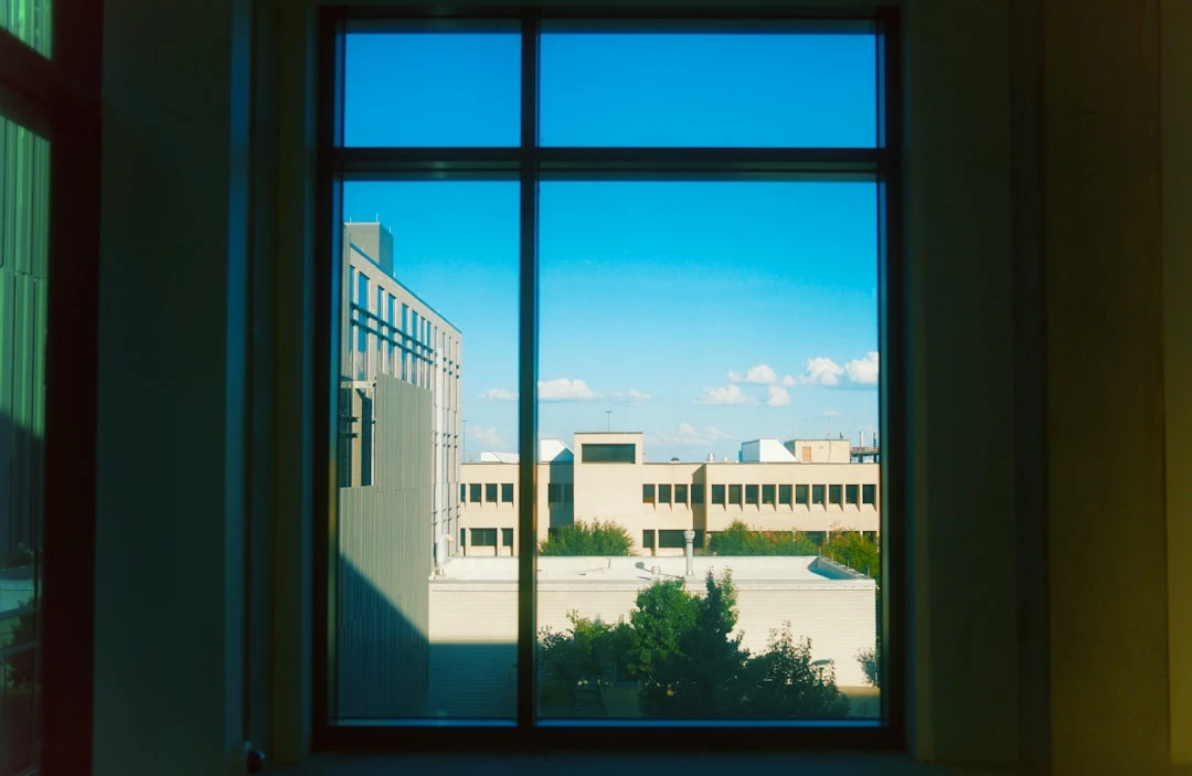 Mẫu I20 du học Mỹ từ góc nhìn của chuyên gia tư vấn