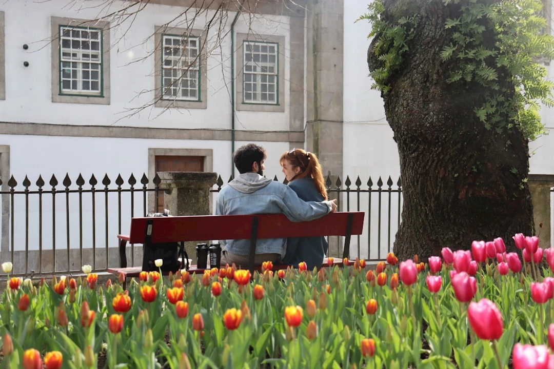 ho-so-di-du-hoc-my-can-gi-duoi-goc-nhin-cua-chuyen-gia