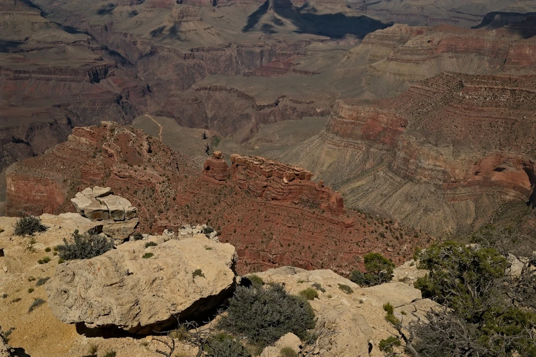 du-hoc-my-co-the-xanh-khong-duoi-goc-nhin-cua-chuyen-gia