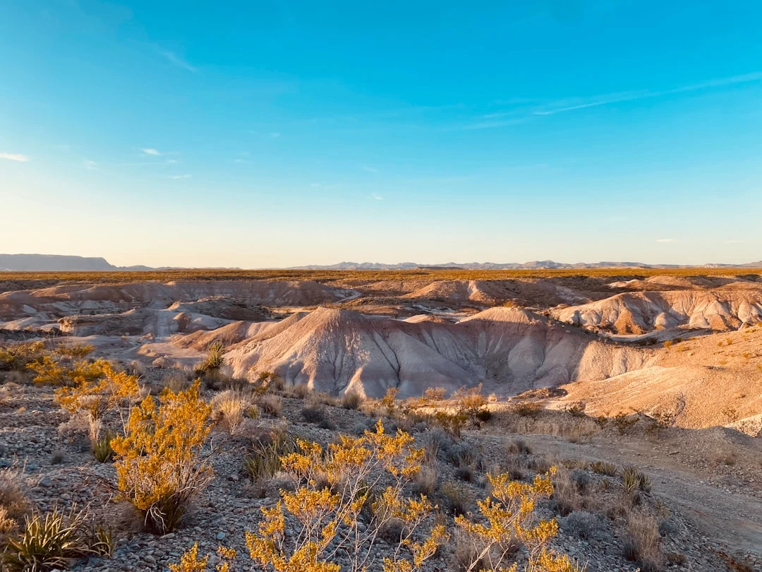 Du học Mỹ Texas: Hành Trình Không Thể Bỏ Qua