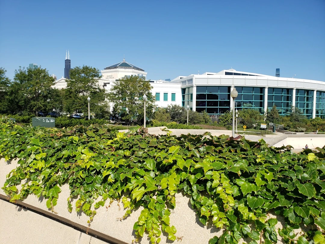 Du học ở Mỹ cần bao nhiêu tiền: Góc nhìn từ cố vấn giáo dục